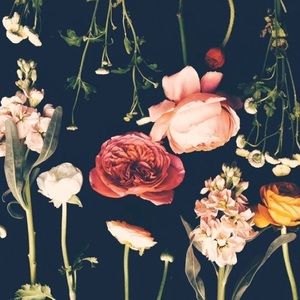 Meet your Posher, Ally